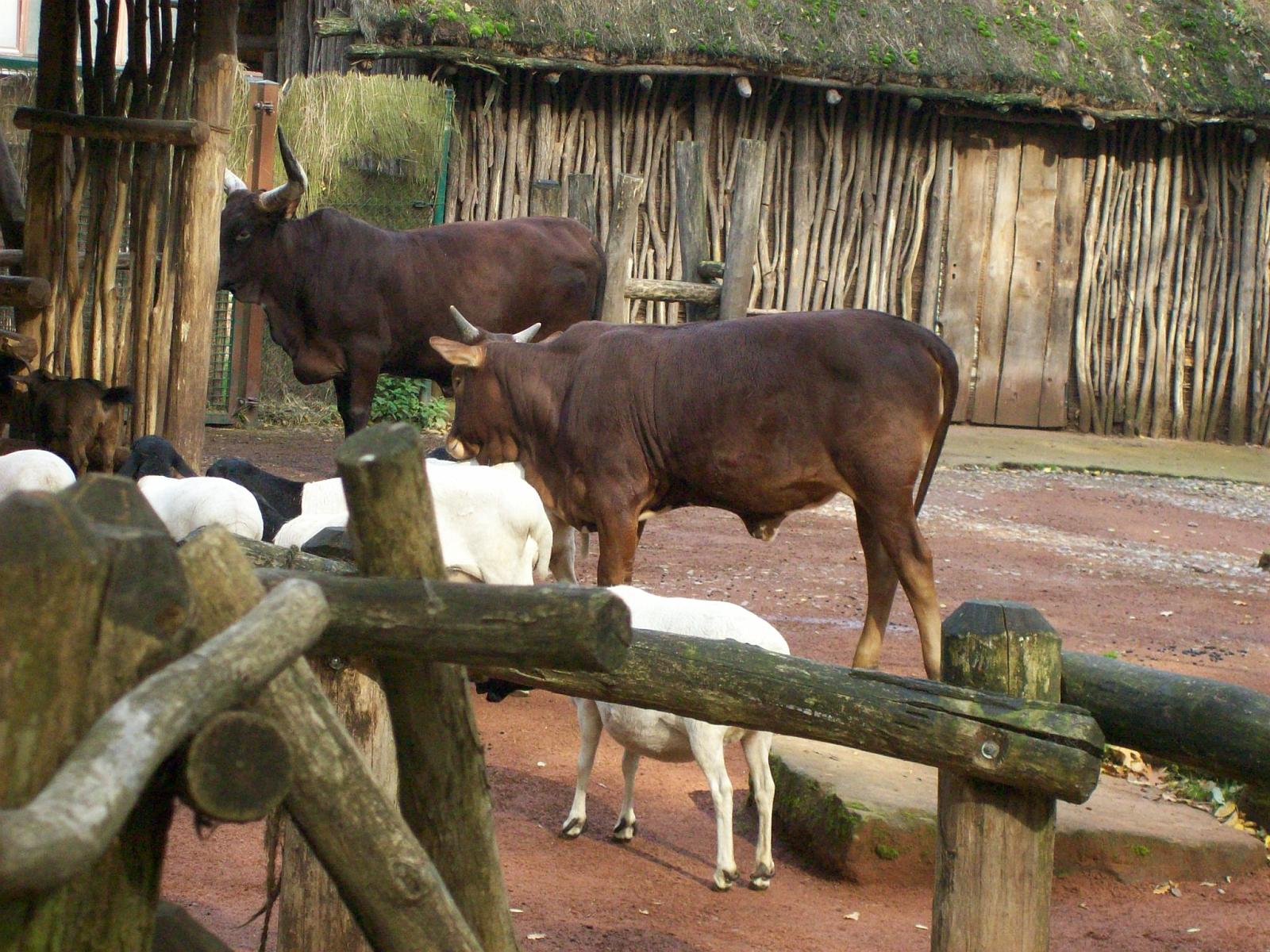Zoom 18.10.2008-029.jpg